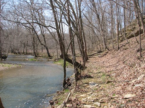 Property photo 31 - 137 Acres in 2 Tracts - 64 Tillable Acres, Potential Building Sites, Hunting